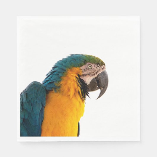 Parrot Post-it Notes Serviette (Vorderseite)