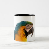 Parrot Post-it Notes Zweifarbige Tasse (Mittel)
