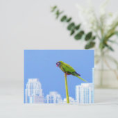 ~Parrot~ POSTCARD, KUSTOMIZE Postkarte (Stehend Vorderseite)