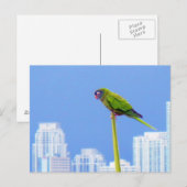 ~Parrot~ POSTCARD, KUSTOMIZE Postkarte (Vorne/Hinten)