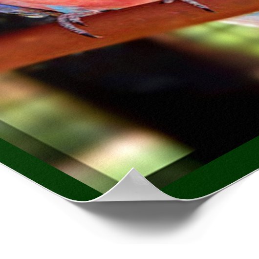 Parrot Poster (Ecke)