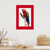Parrot Poster (Küche)