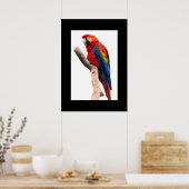 Parrot Poster (Küche)