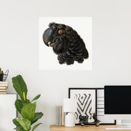 Parrot Poster (Heimbüro)