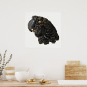 Parrot Poster (Küche)