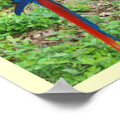 Parrot Poster (Ecke)