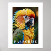 Parrot Poster (Vorne)