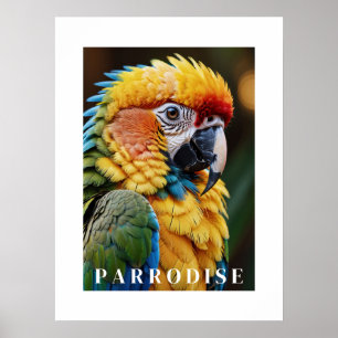Parrot Poster