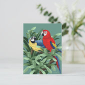 Parrot Postkarten (Stehend Vorderseite)