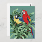 Parrot Postkarten (Vorne/Hinten)
