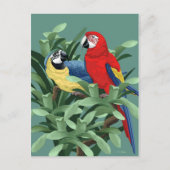 Parrot Postkarten (Vorderseite)