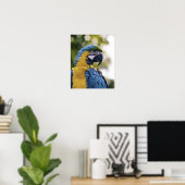 Parrot-Profil-Portrait-Foto Poster (Heimbüro)