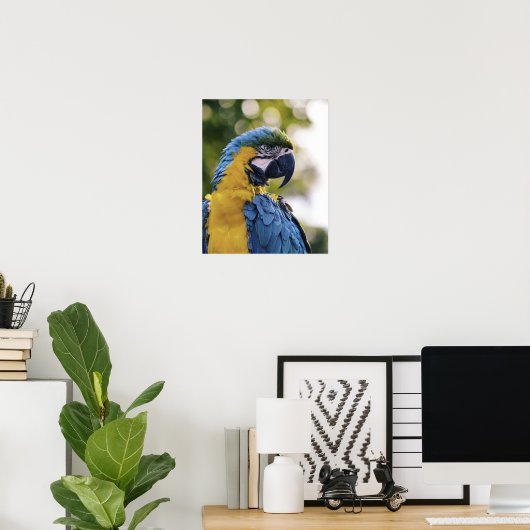 Parrot-Profil-Portrait-Foto Poster (Heimbüro)