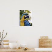 Parrot-Profil-Portrait-Foto Poster (Küche)