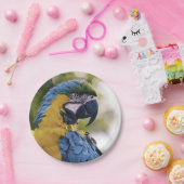 Parrot-Profil-Portraitfotografie Pappteller (Party)