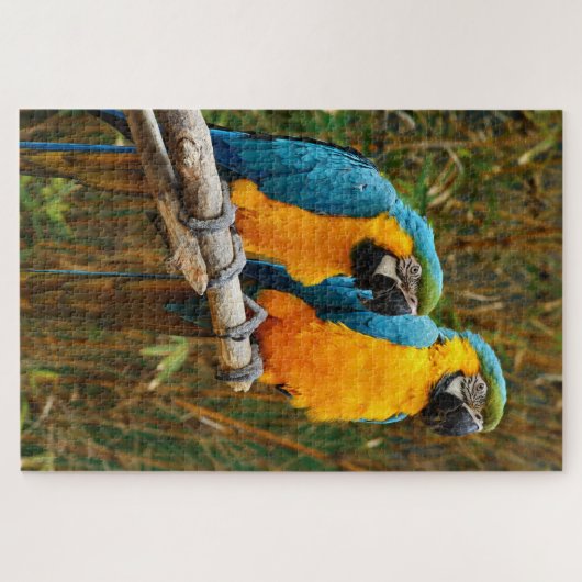 Parrot Puzzle (Horizontal)