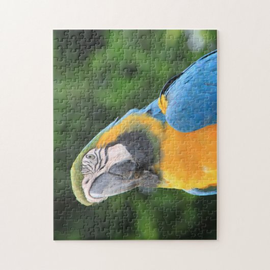 Parrot Puzzle (Vertikal)