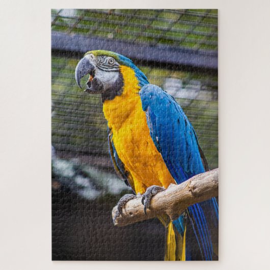 Parrot Puzzle (Vertikal)