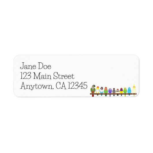 Parrot-Rücksendeadresse (Vorne)