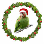 Parrot Santa Fotoskulptur Ornament<br><div class="desc">In diesem Weihnachtsschmuck findet sich ein Kirschkopf-Papagei in einer Weihnachtsmannmütze,  die in einem Weihnachtsschrei sitzt</div>