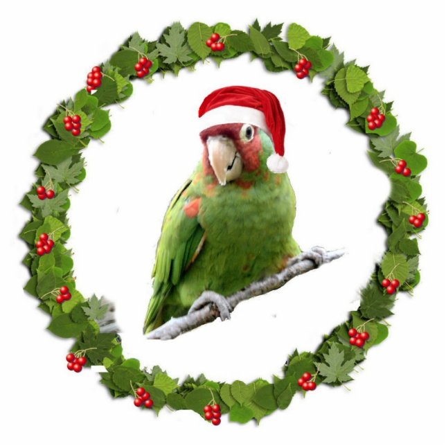 Parrot Santa Fotoskulptur Ornament (Vorne)