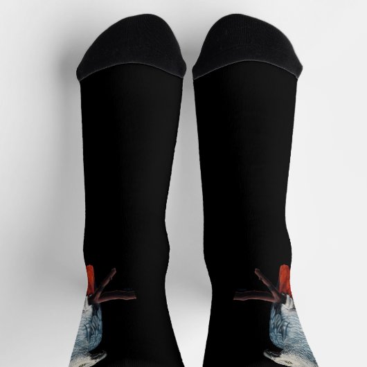 Parrot Socks Personalized African Grey Socks Socken (Oben)