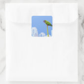 ~Parrot~ STICKER, WERBUNG, ZURÜCK Quadratischer Aufkleber (Tasche)