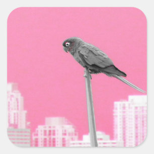 ~Parrot~ STICKER, WERBUNG, ZURÜCK Quadratischer Aufkleber