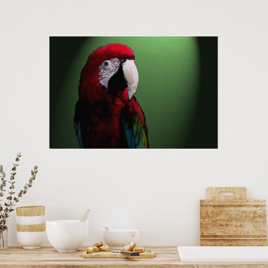 Parrot Talk 36 x 24 Poster (Küche)