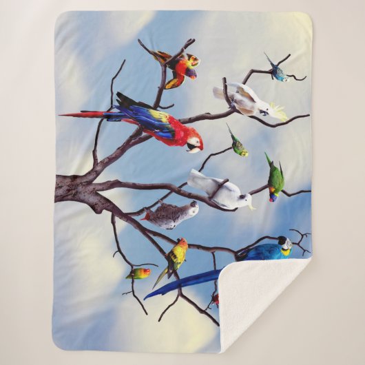 PARROT TREIN SHERPADECKE (Vorderseite)