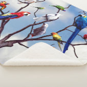 PARROT TREIN SHERPADECKE (3/4)