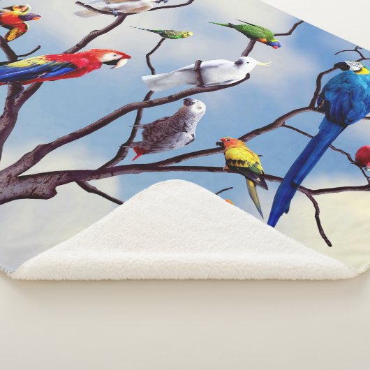 PARROT TREIN SHERPADECKE (3/4)