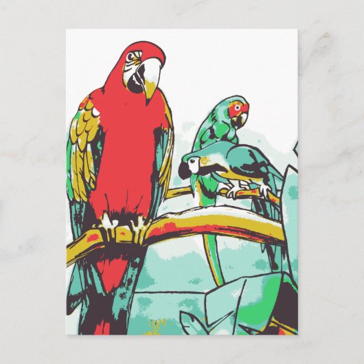 Parrot Trio Postkarte (Vorderseite)