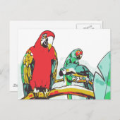 Parrot Trio Postkarte (Vorne/Hinten)