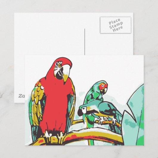 Parrot Trio Postkarte (Vorne/Hinten)