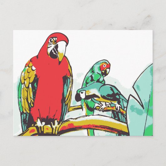 Parrot Trio Postkarte (Vorderseite)