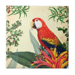 PARROT TROPICAL BIRD 8 FLIESE