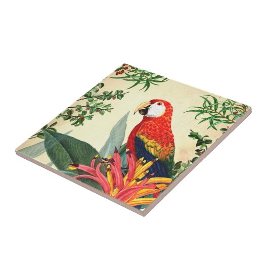 PARROT TROPICAL BIRD 8 FLIESE (Seite)