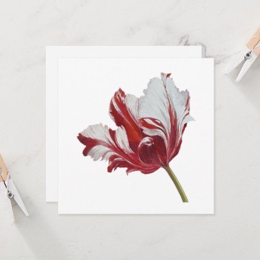 Parrot Tulip 10x Karte (Vorderseite/Rückseite Beispiel)