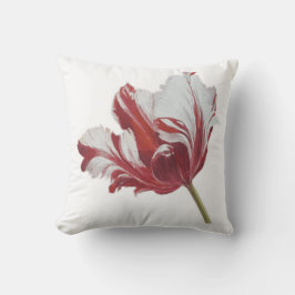 Parrot Tulip 10x  Kissen