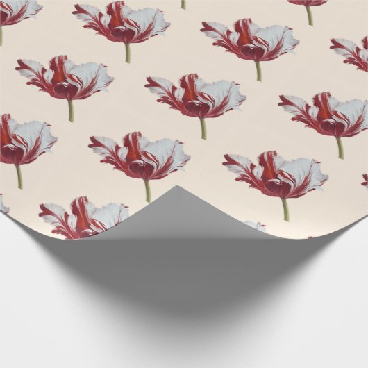 Parrot Tulip Geschenkpapier (Ecke)