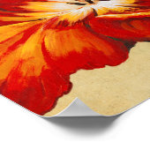 Parrot Tulip I Poster (Ecke)