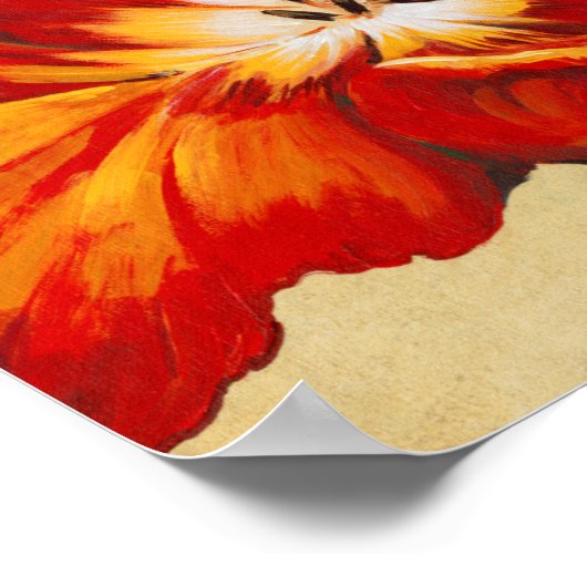 Parrot Tulip I Poster (Ecke)