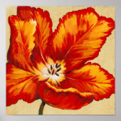 Parrot Tulip I Poster (Vorne)