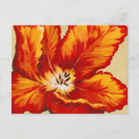 Parrot Tulip I