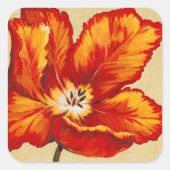 Parrot Tulip I Quadratischer Aufkleber (Vorderseite)