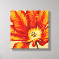Parrot Tulip II