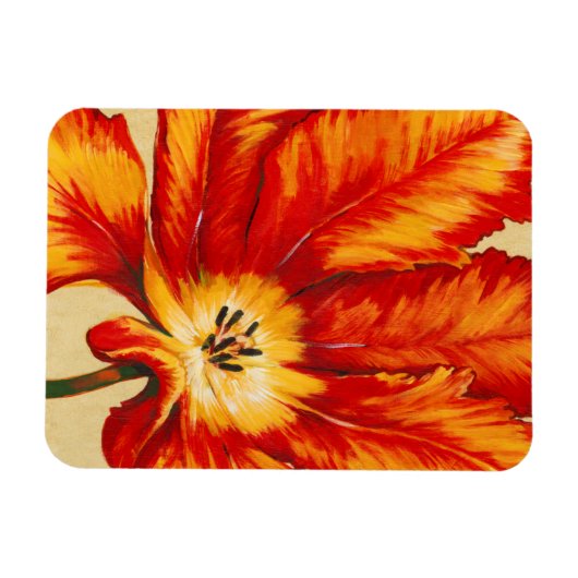 Parrot Tulip II Magnet (Horizontal)