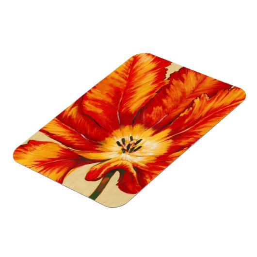 Parrot Tulip II Magnet (Linke Seite)