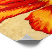 Parrot Tulip II Poster (Ecke)